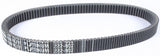 SP1 MAX-TORQUE PLATINUM BELT 47 7/8