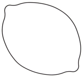 WINDEROSA CLUTCH COVER GASKET 817514