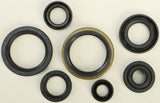 WINDEROSA OIL SEAL SET 822124