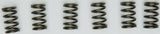 EBC CLUTCH SPRINGS CSK171