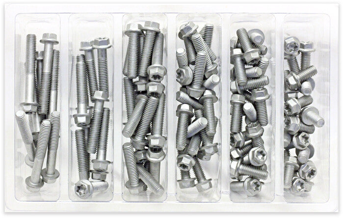 BOLT M6 EURO TORX FLANGE BOLT ASSORTMENT 100 PIECE KIT SV-M6EURO