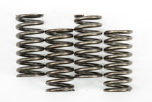 Load image into Gallery viewer, EBC CLUTCH SPRINGS CSK248