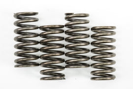 EBC CLUTCH SPRINGS CSK248