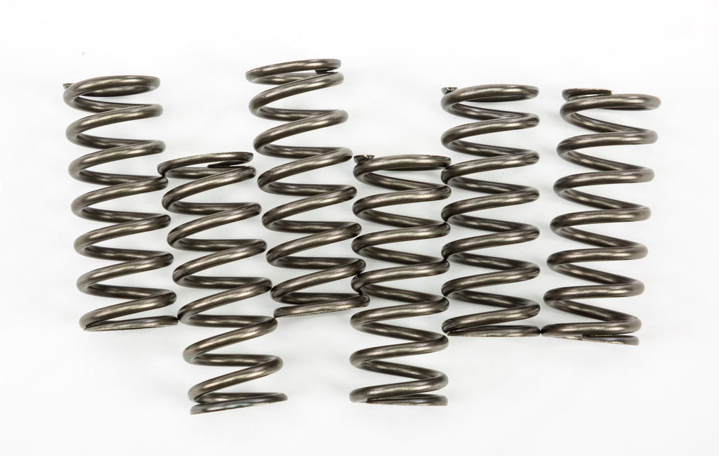 EBC CLUTCH SPRINGS CSK221-atv motorcycle utv parts accessories gear helmets jackets gloves pantsAll Terrain Depot