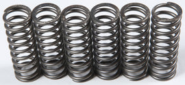 EBC CLUTCH SPRINGS CSK119-atv motorcycle utv parts accessories gear helmets jackets gloves pantsAll Terrain Depot