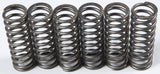 EBC CLUTCH SPRINGS CSK119