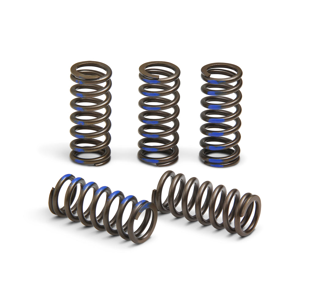PRO CIRCUIT CLUTCH SPRINGS CSY19065-CS