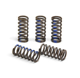 PRO CIRCUIT CLUTCH SPRINGS CSY19065-CS