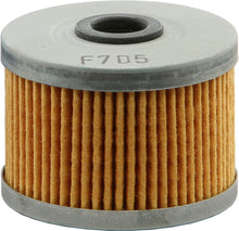 Load image into Gallery viewer, EMGO OIL FILTER 10-99220