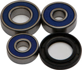 ALL BALLS REAR WHEEL BEARING/SEAL KIT 25-1400