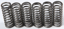 Load image into Gallery viewer, EBC CLUTCH SPRINGS CSK201-atv motorcycle utv parts accessories gear helmets jackets gloves pantsAll Terrain Depot