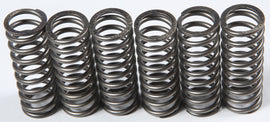 EBC CLUTCH SPRINGS CSK201-atv motorcycle utv parts accessories gear helmets jackets gloves pantsAll Terrain Depot