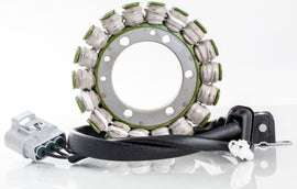 RICKS STATOR 21-819