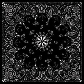 ZAN BANDANNA BLACK PAISLEY B001-atv motorcycle utv parts accessories gear helmets jackets gloves pantsAll Terrain Depot