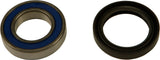 ALL BALLS WHEEL BEARING & SEAL KIT 25-1531