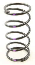 Load image into Gallery viewer, SPEEDWERX H5 SECONDARY SPRINGS BLACK/PURPLE CCH5-N-170-250