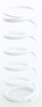 Load image into Gallery viewer, EPI SPRING- WHT PRIMRY SKIDOO SDPS-3
