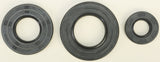 WINDEROSA CRANK SEAL KIT SEADOO 622202