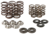HOT CAMS RAPTOR SPRING KIT/ TI RETAINERS SKYFM660S2