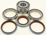 ALL BALLS REAR DIFFERENTIAL BEARING AND SEAL KIT 25-2098