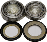 ALL BALLS STEERING BEARING/SEAL KIT 22-1030
