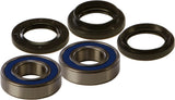 ALL BALLS WHEEL BEARING & SEAL KIT 25-1542