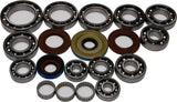 ALL BALLS DIFFERENTIAL BEARING AND SEAL KIT 25-2085
