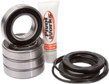 PIVOT WORKS REAR WHEEL BEARING KIT PWRWK-S18-500