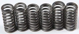 EBC CLUTCH SPRINGS CSK210-atv motorcycle utv parts accessories gear helmets jackets gloves pantsAll Terrain Depot