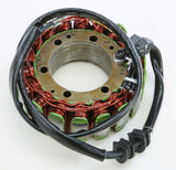 RICKS STATOR 21-108