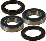 ALL BALLS WHEEL BEARING & SEAL KIT 25-1299