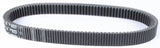 SP1 MAX-TORQUE PLATINUM BELT 43 15/16
