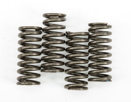 EBC CLUTCH SPRINGS CSK149-atv motorcycle utv parts accessories gear helmets jackets gloves pantsAll Terrain Depot