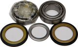 ALL BALLS STEERING BEARING/SEAL KIT 22-1029
