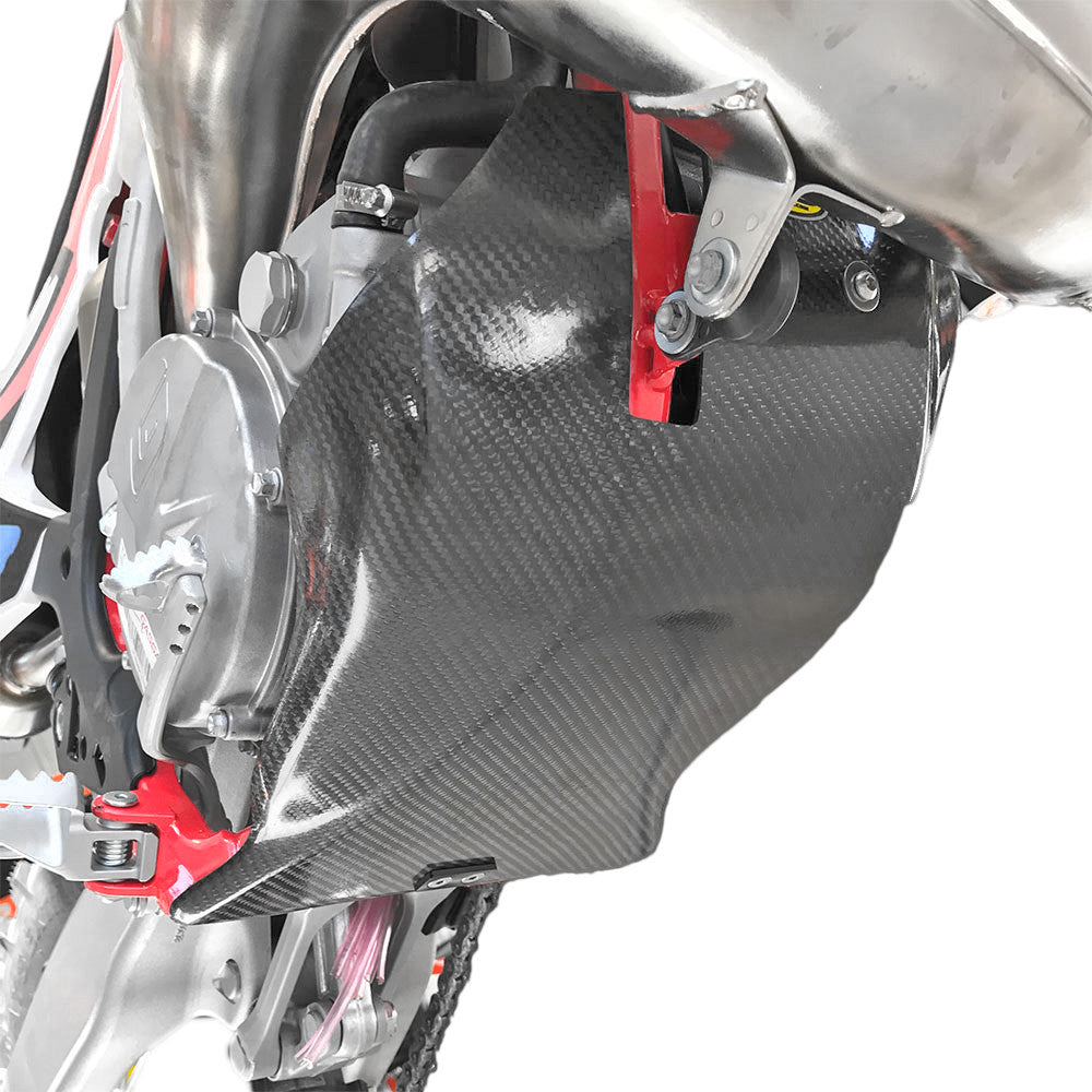 P3 SKID PLATE CARBON FIBER 304061