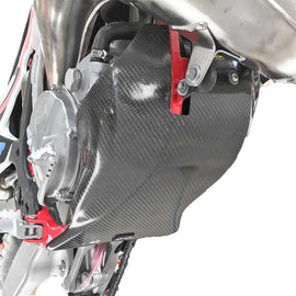 P3 SKID PLATE CARBON FIBER 304061