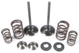 KPMI INTAKE VALVE/SPRING KIT STAINLESS STEEL 60-61000