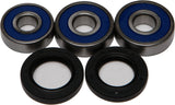 ALL BALLS WHEEL BEARING & SEAL KIT 25-1324