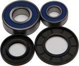 ALL BALLS WHEEL BEARING & SEAL KIT 25-1564