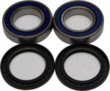 ALL BALLS WHEEL BEARING & SEAL KIT 25-1321
