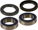 ALL BALLS WHEEL BEARING & SEAL KIT 25-1313