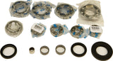 ALL BALLS DIFFERENTIAL BEARING AND SEAL KIT 25-2090