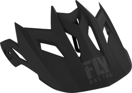 FLY RACING DEFAULT 2019 HELMET VISOR BLACK/GREY 73-91120