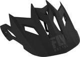 FLY RACING DEFAULT 2019 HELMET VISOR BLACK/GREY 73-91120