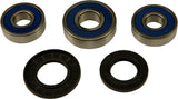 ALL BALLS REAR WHEEL BEARING KIT 25-1358