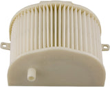 HIFLOFILTRO AIR FILTER HFA4914