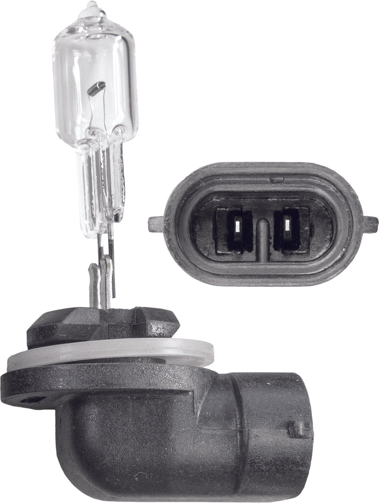 SP1 ACTION 894 BULB 894-CAN
