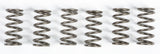 EBC CLUTCH SPRINGS CSK165