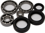ALL BALLS REAR DIFFERENTIAL BEARING AND SEAL KIT 25-2007
