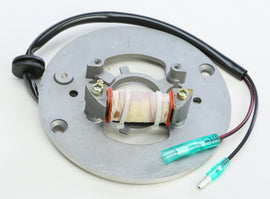 RICKS STATOR 21-906